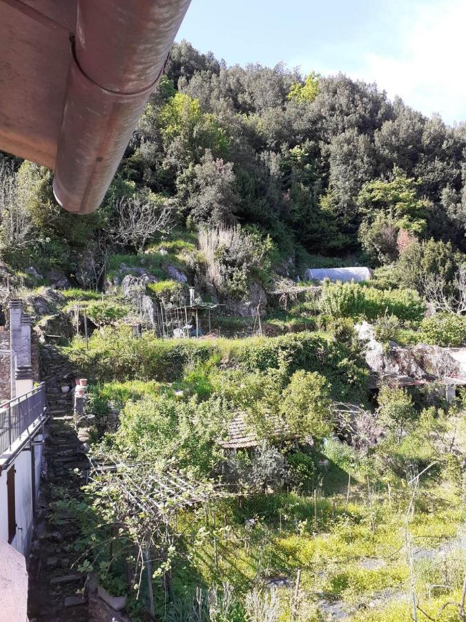 La Casa Torre Ξενοδοχείο Pignone Εξωτερικό φωτογραφία